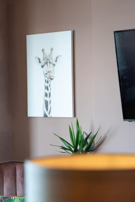 Stylish Beachfront Apartment, Sweeping Ocean Views And Luxury Touches Herne Bay Kültér fotó