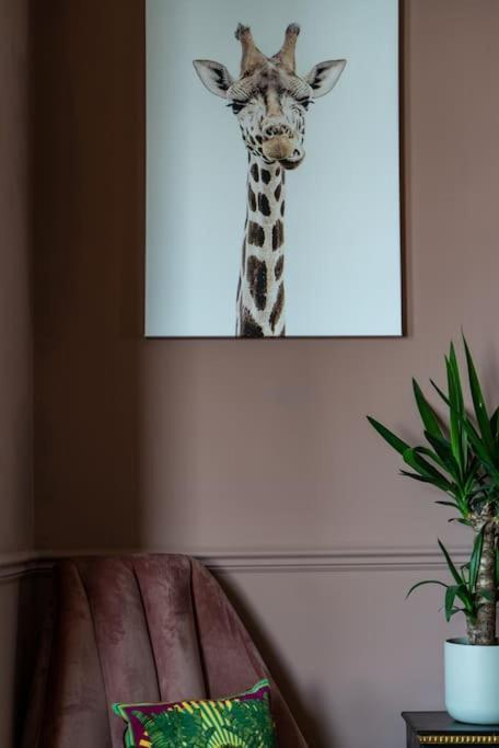 Stylish Beachfront Apartment, Sweeping Ocean Views And Luxury Touches Herne Bay Kültér fotó