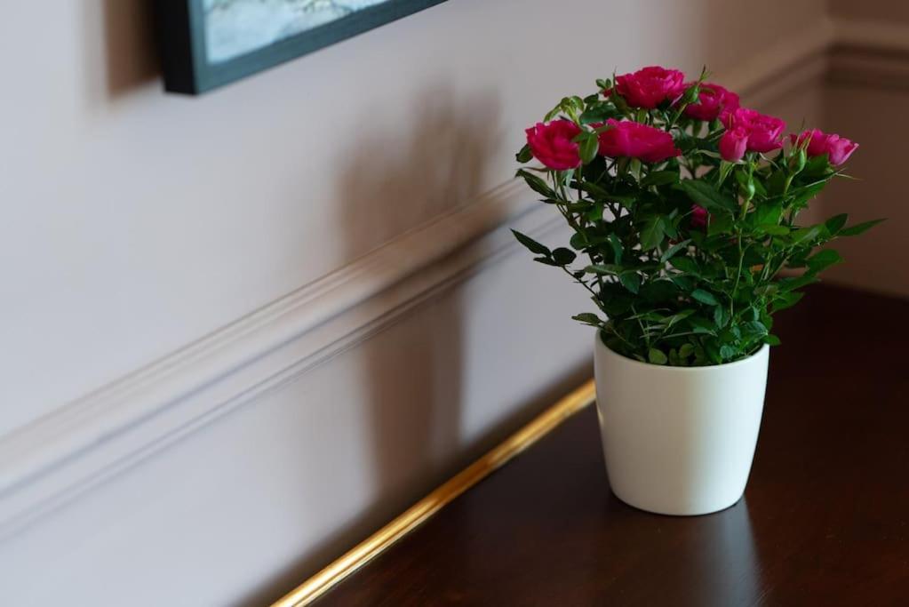 Stylish Beachfront Apartment, Sweeping Ocean Views And Luxury Touches Herne Bay Kültér fotó